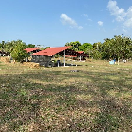 Hotel - Granja de Animales San Basilio de Palenque San Basilio del Palenque Exterior foto