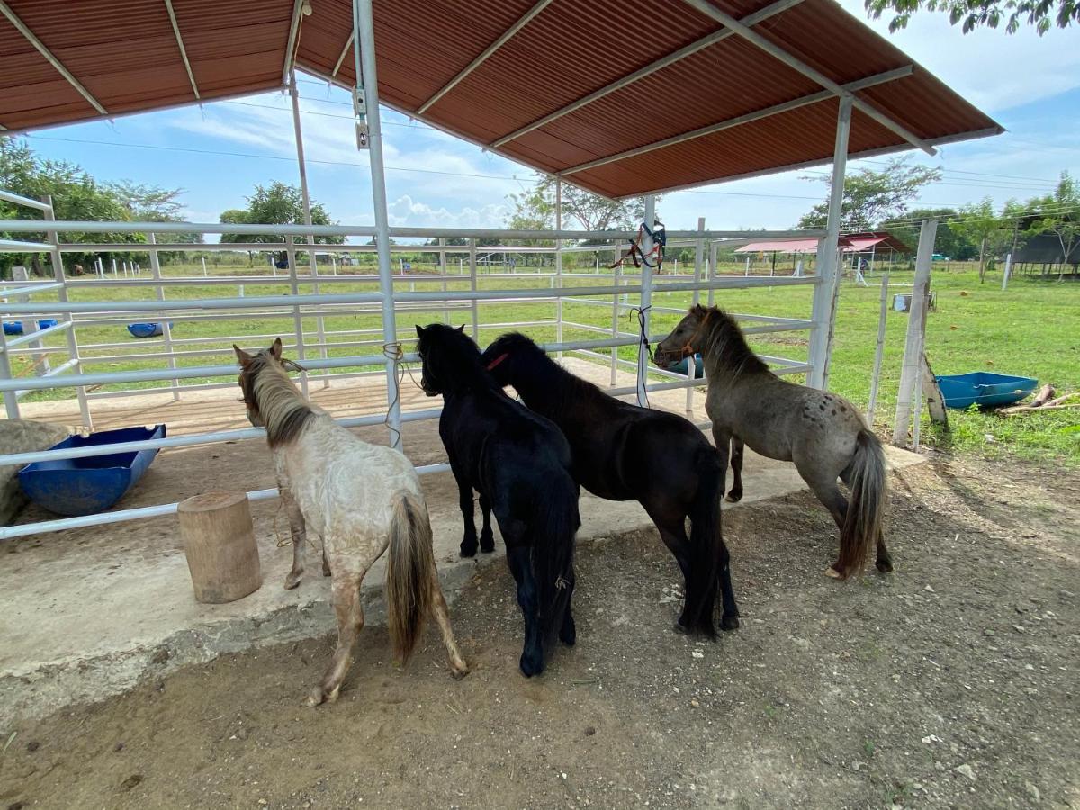 Hotel - Granja de Animales San Basilio de Palenque San Basilio del Palenque Exterior foto